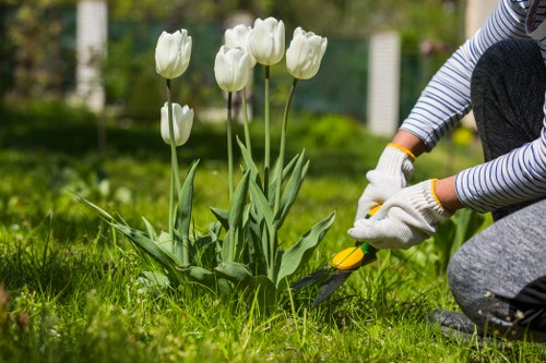 Beautiful garden maintained by Garden Maintenance Chingford