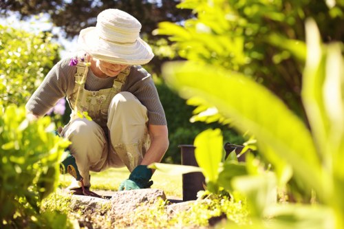 Chingford garden adapting to local climate and soil conditions
