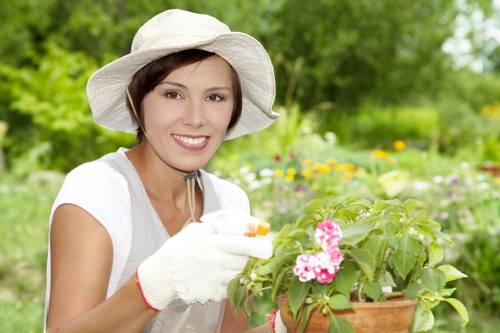 Healthy green lawn maintained in Chingford