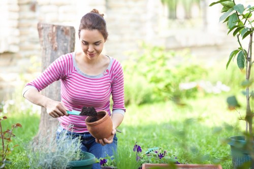 Eco-friendly garden practices in a Chingford backyard