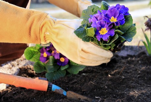 Close-up of gardeners pruning in Chingford