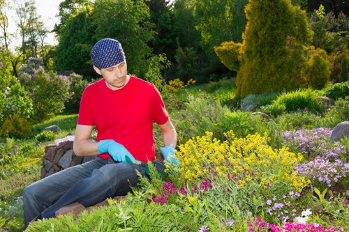Essential garden maintenance tools arranged for use in Chingford