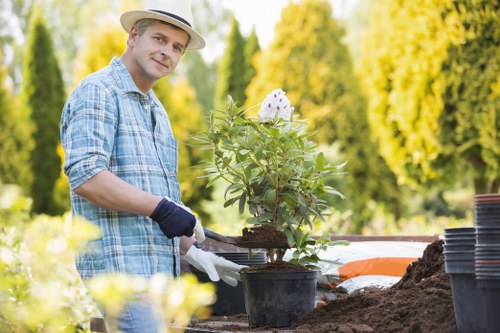 Eco-friendly landscaping practices in Chingford