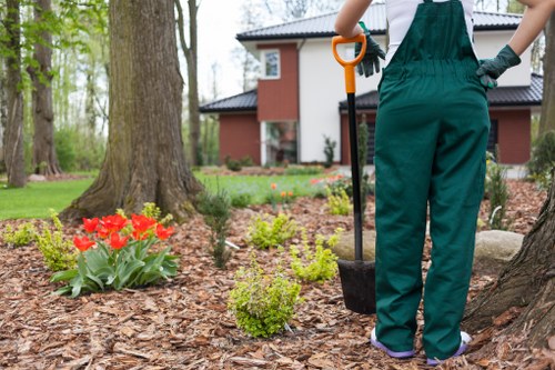 Seasonal garden maintenance in Chingford