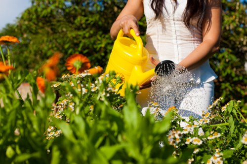 Seasonal lawn maintenance in Chingford