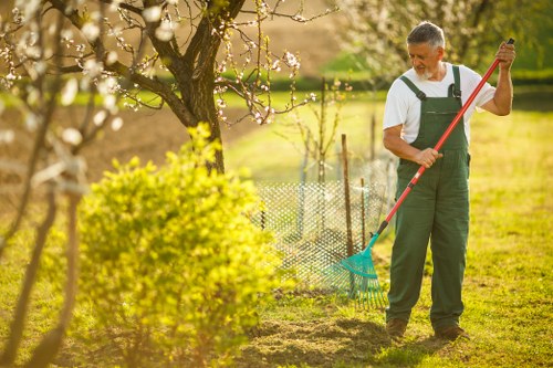 Final overview of a thriving Chingford garden
